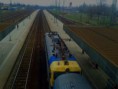 /album/kepgaleria-3-csoporttalalkozo-hatvan-vasutallomas-2013-03-23-/papagaj-szili-jpg/